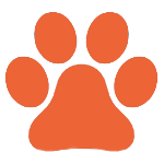 Ra-Mi logo